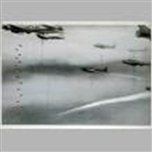 Description: http://www.gerhard-richter.com/includes/retrieve.image.php?paintID=5480&thumb=1